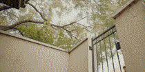 吴磊X.gif