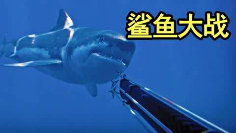 狄克海威游戏实况(合集) :周围有100头鲨鱼,你只有一把弓弩,该如何
