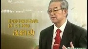 中医砭石砭术介绍 泗滨砭石官网出品生活完整版视频在线观看爱奇艺