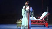 越剧《红楼梦》黛玉焚稿 陈晓红