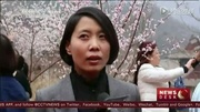 Spring bloom in China sparking tourism资讯搜索最新资讯爱奇艺