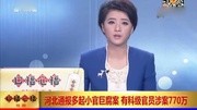 河北承德多名科级干部“小官巨腐”有人涉案770万资讯搜索最新资讯爱奇艺