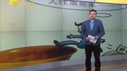 工资软件网络走红可查多岗位工资[高清]电影完整版视频在线观看爱奇艺