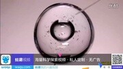 失重状态下的水实验生活完整版视频在线观看爱奇艺