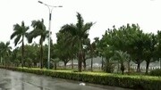 【拍客】莲花携狂风暴雨登陆广东 市民风雨中艰难前行资讯搜索最新资讯爱奇艺