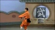 少林七星拳健康完整版视频在线观看爱奇艺