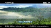 CCTV推广品牌恒大冰泉片花完整版视频在线观看爱奇艺