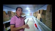 土元话语 枣庄土元说话720x480clip(9)生活完整版视频在线观看爱奇艺