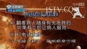 万家灯火 程凯 百年中医世家养生秘学百年中医世家养生秘学18危急关头保命穴原创完整版视频在线观看爱奇艺