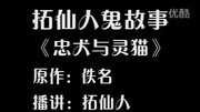 鬼故事有声小说246忠犬与灵猫原创完整版视频在线观看爱奇艺