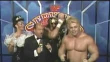 1989.11.23.WWF.Survivor.Series