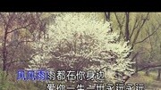 2016年婚礼最红歌曲海生《我们结婚了》MV音乐背景音乐视频音乐爱奇艺