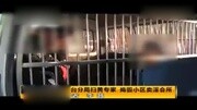 记者跟拍公安扫黄专家 展现捣毁小区卖淫会所全过程1资讯搜索最新资讯爱奇艺