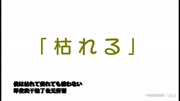 【凹凸世界】【瑞金】震惊!!阿婆主为了撮合瑞金竟做出这种事!!【结尾彩蛋】动漫全集视频在线观看爱奇艺