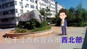 宜春市金瑞镇原创完整版视频在线观看爱奇艺