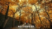 一首动感舞曲,游鱼出听,绝对撼动你的神经音乐背景音乐视频音乐爱奇艺