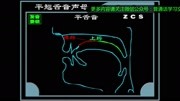 普通话平翘舌音声母发音方法图解知识名师课堂爱奇艺