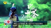 《茶闻天下》:茶频道大型IP“2018中国开茶节”全新启程资讯完整版视频在线观看爱奇艺