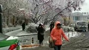 今晨鞍山降下大雪,温度骤降20℃,从昨日的零上17℃直降到今天的零下3℃,冒着风原创完整版视频在线观看爱奇艺