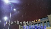 赵真佳木斯的雪(原版)音乐背景音乐视频音乐爱奇艺