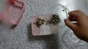 市场豆芽不安全,在家自己种豆芽,零失败,只需一步芽菜爆盆生活完整版视频在线观看爱奇艺