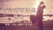 《对你情深似海》 演唱:梅朵音乐背景音乐视频音乐爱奇艺