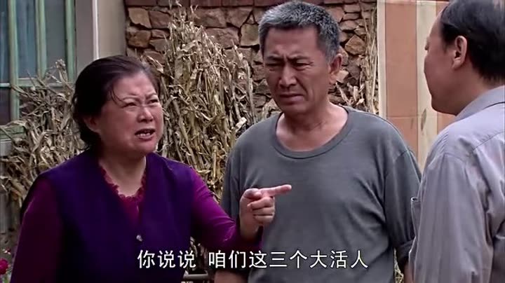                        葵花进城