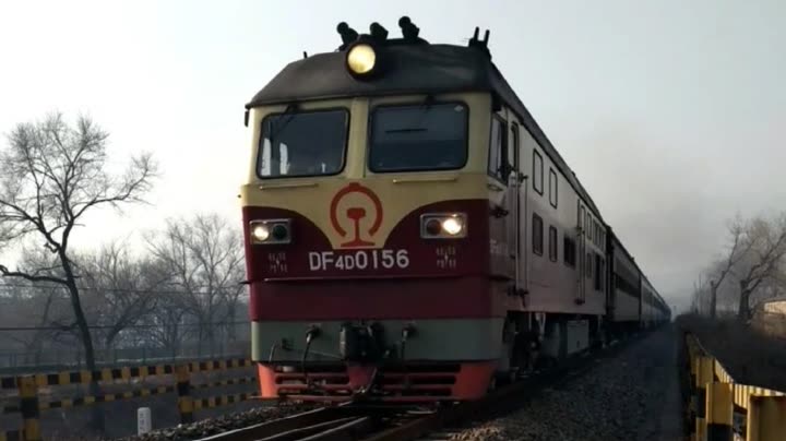 df4d老虎