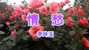 李玲玉一首经典老歌《情愁》太美太陶醉音乐背景音乐视频音乐爱奇艺