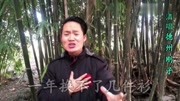 一首改编歌曲《懒女人》歌词写得太现实了,女人们都听听音乐背景音乐视频音乐爱奇艺