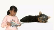 4 The Little dog Fido 小狗费得 子牛经典英文朗读阅读知识名师课堂爱奇艺