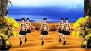 沙漠骆驼舞蹈分解