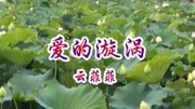 云菲菲一首网络金曲《爱的漩涡》非常好听音乐背景音乐视频音乐爱奇艺