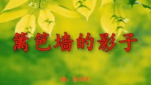 篱笆墙的影子二胡简谱_二胡简谱 电视剧篱笆 女人和狗主题曲(2)