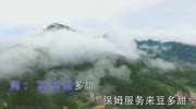 陶宝最新mv歌曲《豆多甜》(伴奏)娱乐完整版视频在线观看爱奇艺