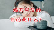 婚前同居,男女双方的目的是什么?说说你的看法生活高清正版视频在线观看–爱奇艺