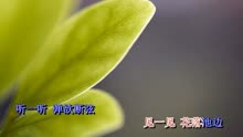 一念之间简谱张杰_仰望星空简谱张杰