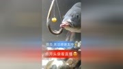 秋钓七浅七深 正在直播,老铁们速度进直播间吧️#钓鱼人##野钓原创完整版视频在线观看爱奇艺