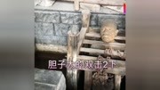 古代十大酷刑,犯人宁愿死也不愿受的酷刑,实在太残忍了原创完整版视频在线观看爱奇艺