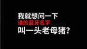 搞笑段子:可以试试蓝牙名字叫一头小猪搞笑完整版视频在线观看爱奇艺