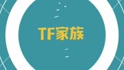 【TF家族】普通的日常他们每周都训练娱乐完整版视频在线观看爱奇艺