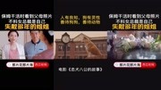 影视:忠犬八公的故事,真正的爱与忠诚,正能量慢慢电影完整版视频在线观看爱奇艺