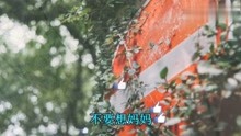 军中绿花曲简谱_军中绿花简谱(3)