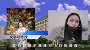 爱情公寓片头(示例视频)免费帮做~音乐背景音乐视频音乐爱奇艺