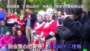 广西山歌对唱,柳州山歌《苗乡哥妹情意浓》音乐背景音乐视频音乐爱奇艺