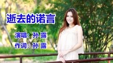 逝去的诺言古筝曲谱_逝去的诺言图片