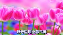 曲谱醉红尘_带字醉红尘头像(3)