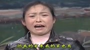 清音戏《命中无儿难求子》我家居住王家庄,名字叫个王玉香音乐背景音乐视频音乐爱奇艺