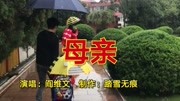 《母亲》演唱:阎维文音乐背景音乐视频音乐爱奇艺