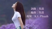 《情伤》演唱:雨中百合 高音质 必听音乐背景音乐视频音乐爱奇艺